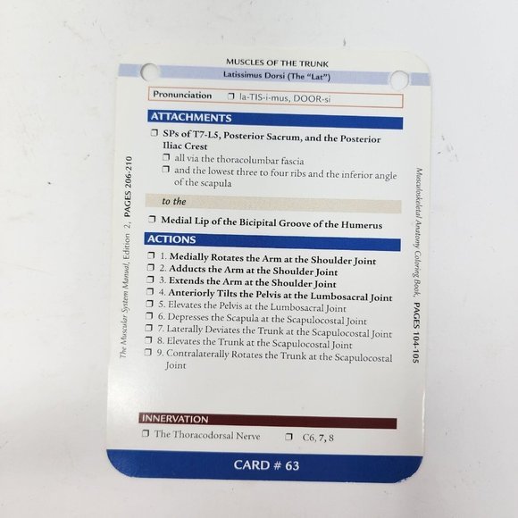 Musculoskeletal Anatomy by Joseph E. Muscolino 2005 Flash Cards - Picture 7 of 10